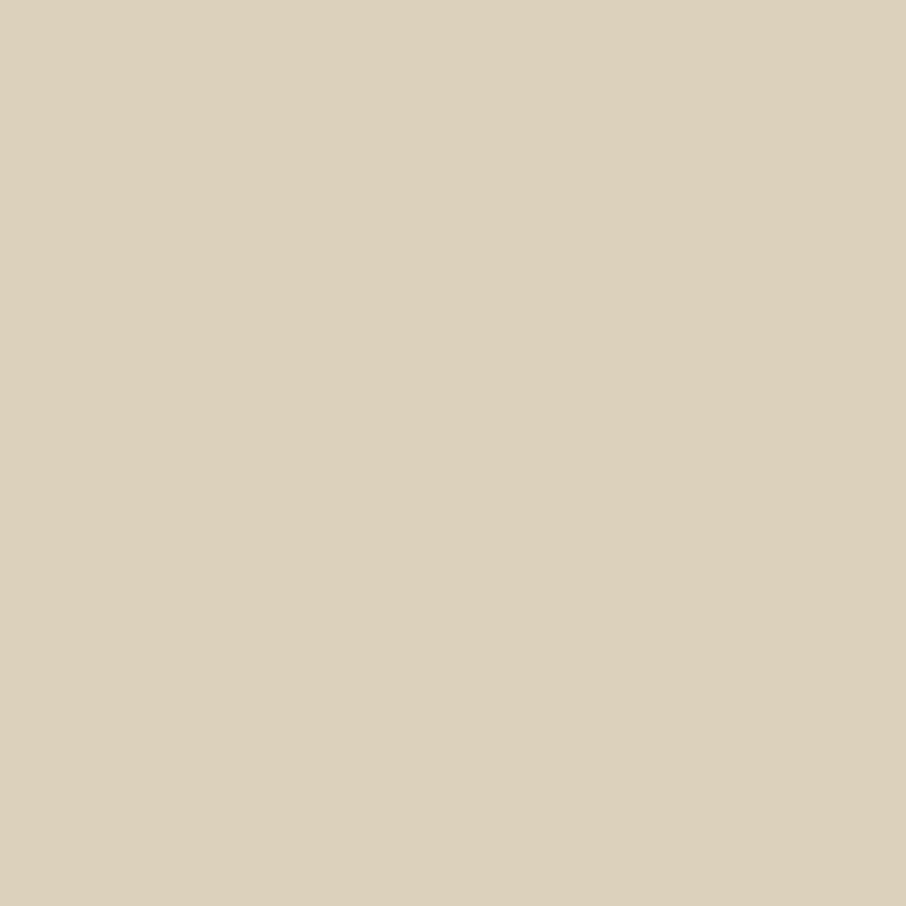 Ardex Fl Grout 03-Sugar Cookie 10-Lb Bag Sanded Grout product photo