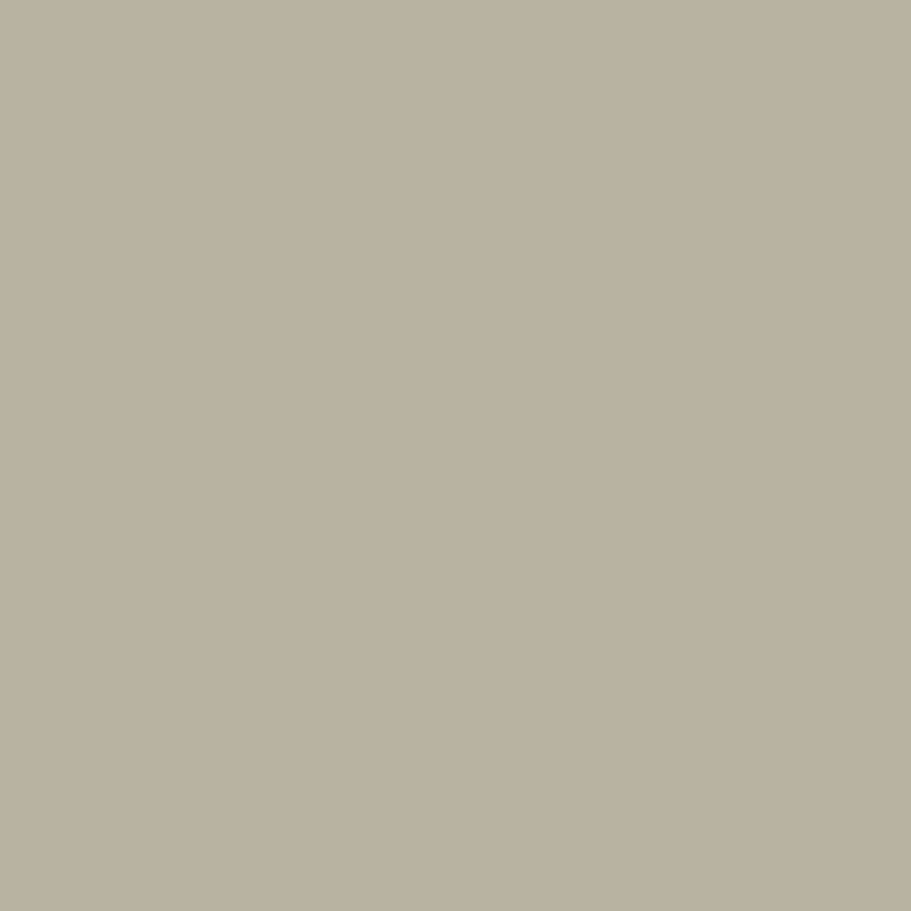 Ardex Fl Grout 10-Irish Creme 10-Lb Bag Sanded Grout product photo