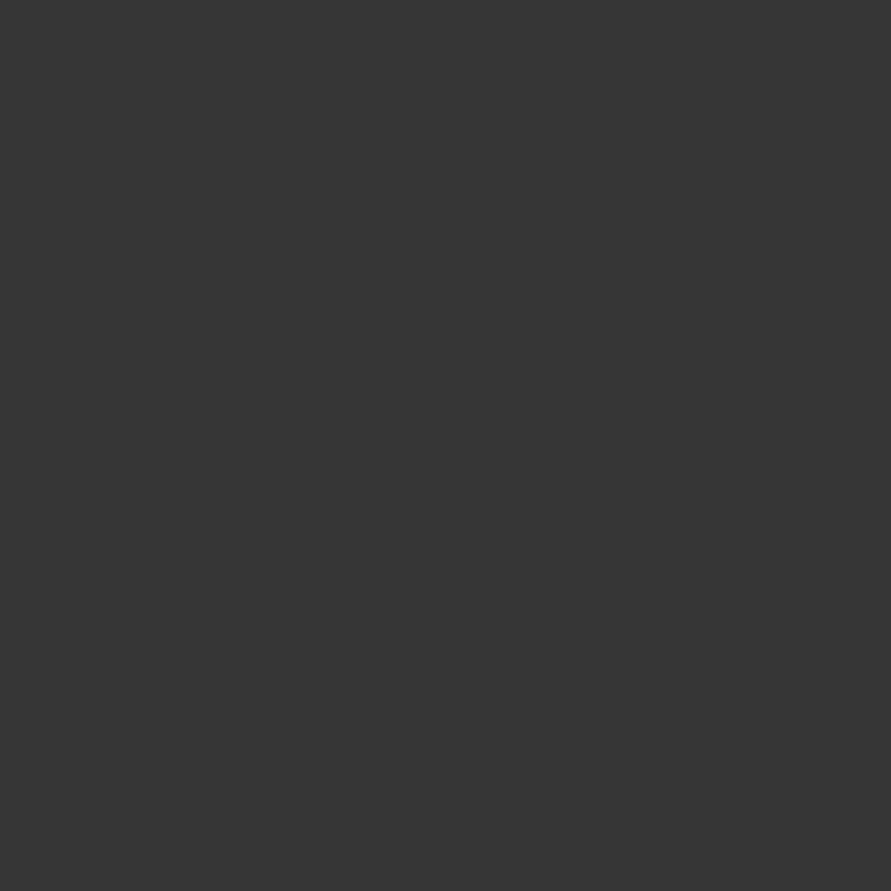 Ardex Fl Grout 24-Black Licorice 10-Lb Bag Sanded Grout product photo
